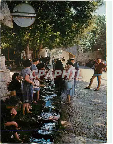 Cartes postales moderne Peniscola Vente du Poisson