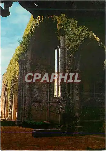 Cartes postales moderne Pontevedra Les Ruines de Sto Domingo