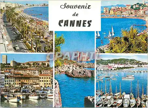 Cartes postales moderne Souvenir de Cannes Bateaux