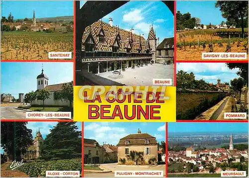 Cartes postales moderne Au Pays des Grands Crus La Cote de Beaune (Cote d'Or) Territoire vinicole implante sur des Cotea