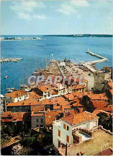 Cartes postales moderne Cannes (Alpes Maritimes) La Cote d'Azur Miracle de la Nature Couleurs et Lumiere de France Le Po