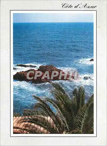 Cartes postales moderne Rivage de la Mediterranee Lumiere et Beaute de la Cote d'Azur