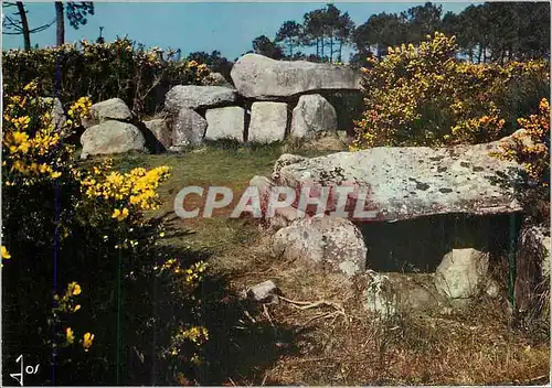 Cartes postales moderne Monuments Megalithiques de Mane Kerioned pres de Carnac la Bretagne en Couleurs