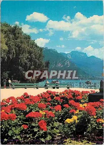 Cartes postales moderne Annecy (Haute Savoie) au Jardin des Plantes le Lac et la Tournette