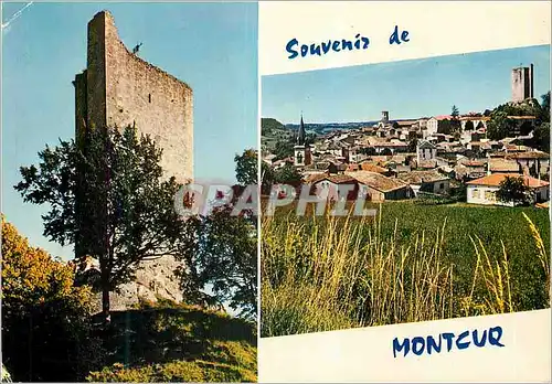 Cartes postales moderne Souvenir de Montcuq (Lot)