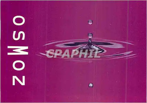 Cartes postales moderne Partez a Zanzibar en Jouant sur Osmoz com