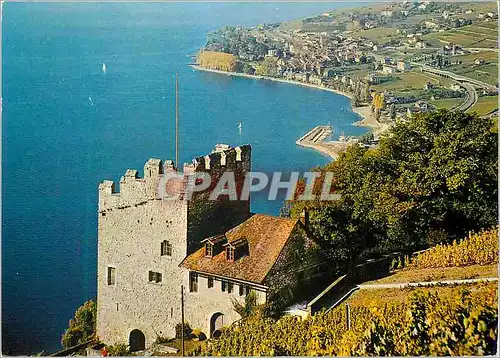 Cartes postales moderne Vignobles de Lavaux (Lac Leman) la Tour de Marsens et Cully
