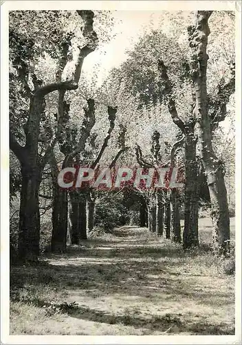 Cartes postales moderne Chateau de Forezan Cognin