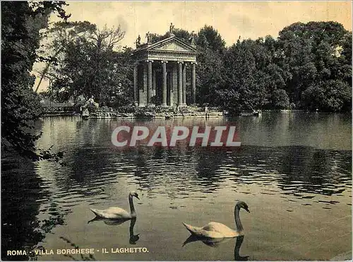 Cartes postales moderne Roma Villa Borghese le Petit Lac Cygnes