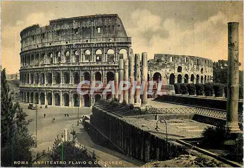 Moderne Karte Roma Amphiteatre Flavius ou Colisee