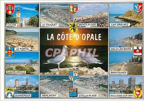 Cartes postales moderne La Cote d'Opale (Pas de Calais) Nord Calais Le Touquet Berck Plage Cap Gris Nez Le Portel Sainte