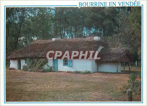 Cartes postales moderne Bourrine en Vendee