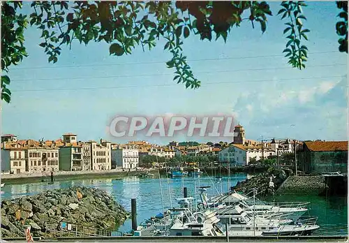 Cartes postales moderne Saint Jean de Luz (Pyr Atl) le Port et l'Eglise