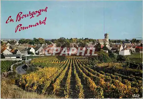 Cartes postales moderne La Prestigieuse Bourgogne les Celebres Grands Crus de Pommard (Cote d'Or)