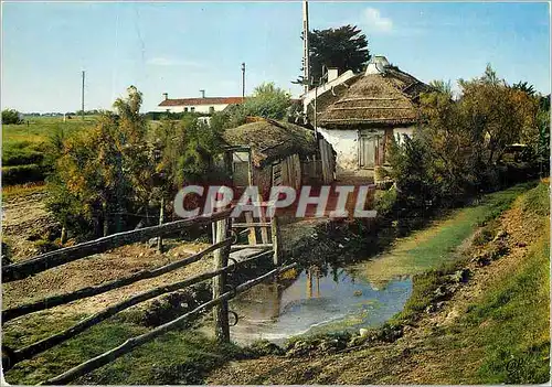 Cartes postales moderne En Vendee au Pays de Monts Bourrine au Marais