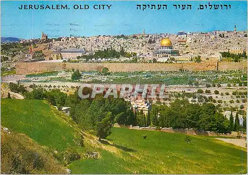 Cartes postales moderne Jerusalem vue du Mont des Olivier le Jardin de Gethsemani et la Porte Doree