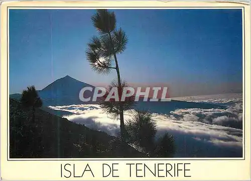 Cartes postales moderne Isla de Tenerife Islas Canarias