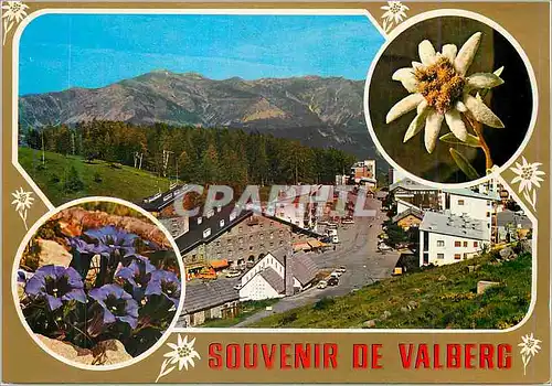 Cartes postales moderne Souvenir de Valberg (A M) Altitude 1700m la Cote d'Azur et son Arriere Pays