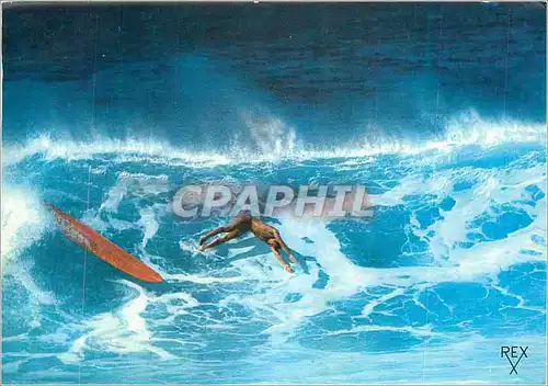 Cartes postales moderne Surfing sur la Cote Basque (B P) une Belle Chute