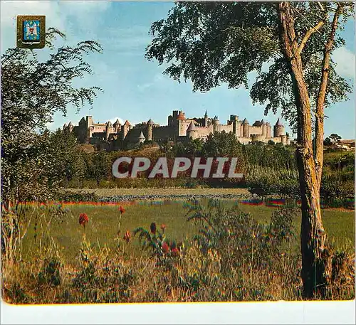 Cartes postales moderne Carcassonne Arts et Couleurs de l'Aude vue Generale Cote Sud