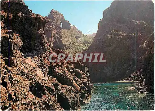 Cartes postales moderne Corse Ile de Beaute Souvenir de la Reserve Naturelle de Scandola