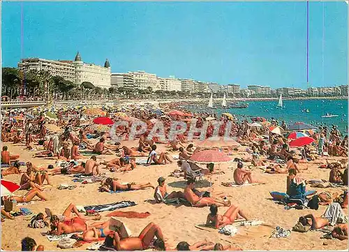 Cartes postales moderne Cannes la Cote d'Azur Inoubliable vue Generale sur la Plage