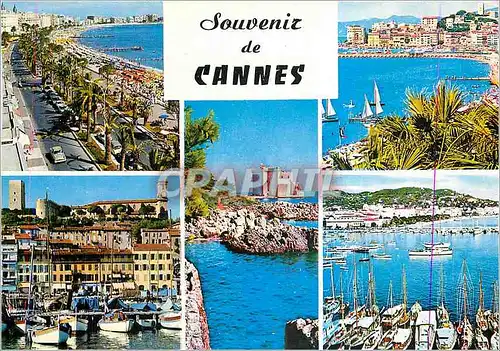 Cartes postales moderne Souvenir de Cannes