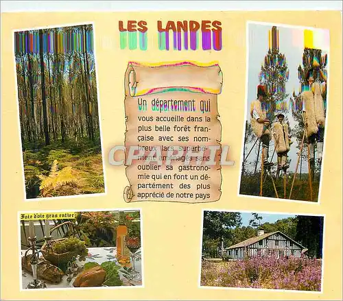 Moderne Karte Les Landes Image de France un Departement qui vous Accueille dans la plus Belle Foret Francaise