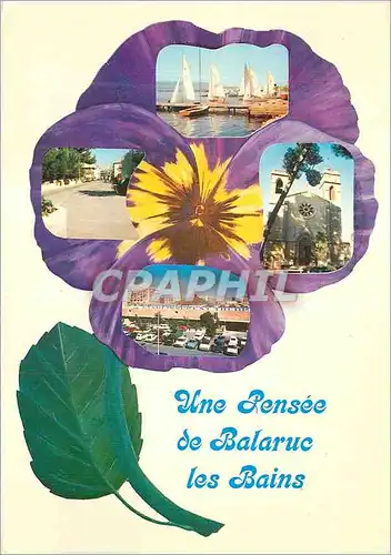 Cartes postales moderne Une Pensee de Balaruc les Bains (Herault)