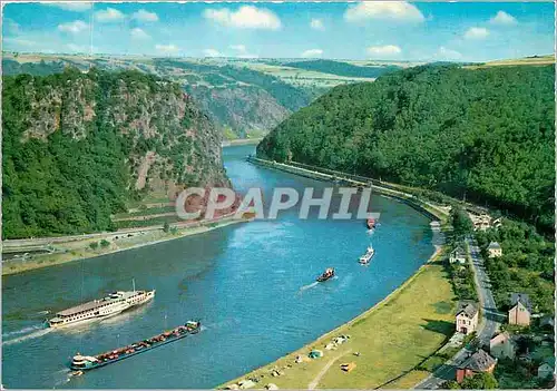 Cartes postales moderne Rhein Lorelei