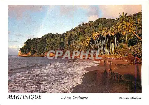 Moderne Karte Martinique L'Anse Couleuvre Le Pecheur