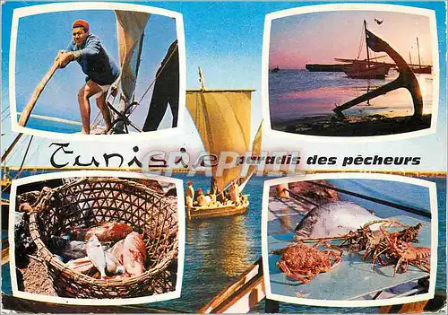Cartes postales moderne Tunisie Paradis des Pecheurs