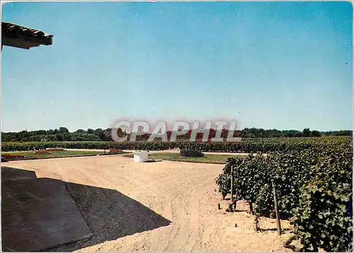 Moderne Karte Leognan Bordeaux Une partie du Vignoble du Chateau de Fieuzal Grand Cru Classe des Graves