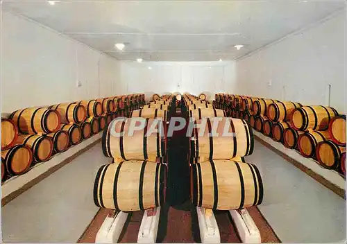 Cartes postales moderne Leognan Un des Cinq chais du Chateau de Fieuzal Grand Cru Classe des Graves