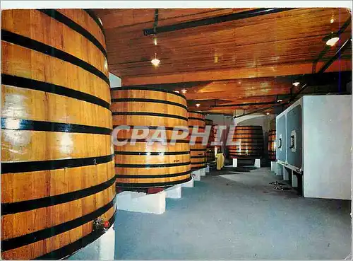 Cartes postales moderne Leognan Bordeaux Le Cuvier du Chateau de Fieuzal Grand Cru Classe des Graves