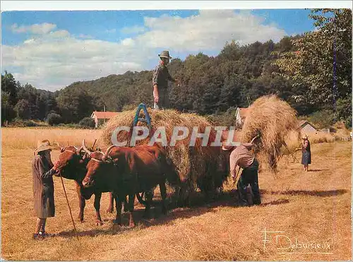 Cartes postales moderne Voici la Dure loi des Champs Hesiode Attelage B�ufs