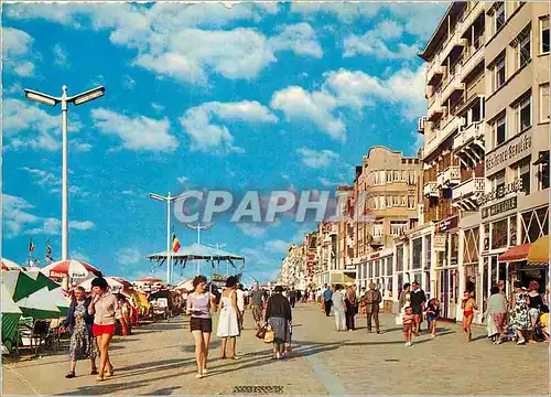 Cartes postales moderne La Panne Promenade