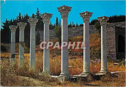 Cartes postales moderne Cos Asclepieion Temple d'Apollon