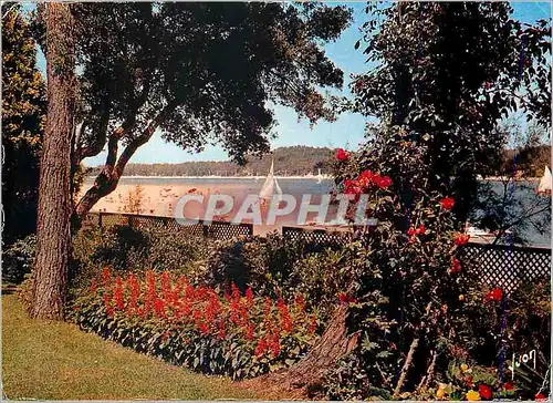 Cartes postales moderne Hossegor (Landes) Couleurs et Lumiere de France Tres Belle vue sur le Lac a Gauche la Plage Blan