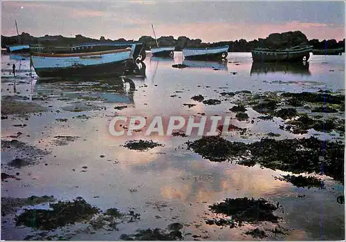 Cartes postales moderne Breiz Dans les Reliefs Mauves du Couchant