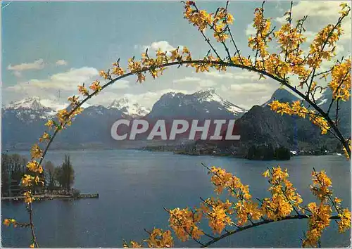 Cartes postales moderne Lac d'Annecy Talloires Buingt Comme une Branche de Printemps