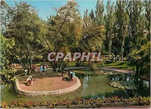 Cartes postales moderne Miskolctapolca Parc