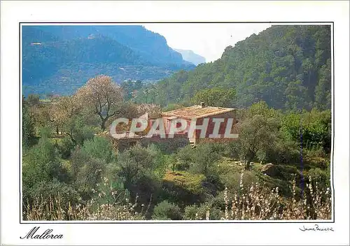 Cartes postales moderne Mallorca European Paradise
