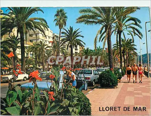 Moderne Karte Lloret de Mar