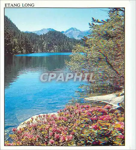Cartes postales moderne Lumiere et Couleurs de la Cerdagne et du Capcir Etang Long