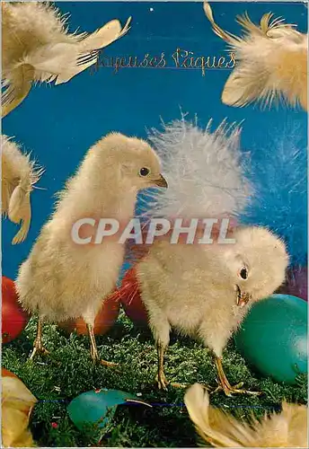 Cartes postales moderne Joyeuses Paques