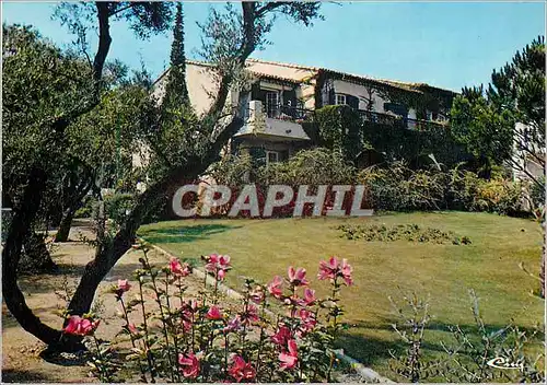 Cartes postales moderne Le Cap d'Antibes (Alpes Mar) Residence Le Galion Le Parc et les Studios