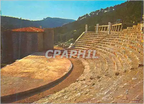 Cartes postales moderne  Toulon Ollioules (Var)Chateauvallon