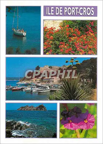 Cartes postales moderne Ile de Port Cros Cliche Sounier