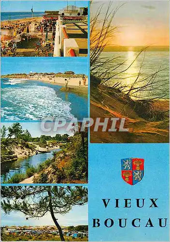 Cartes postales moderne Vieux Boucau Port d'Albret (Landes) La Plage vue d'ensemble